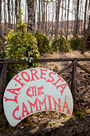 Foresta che cammina del Carnevale di Satriano