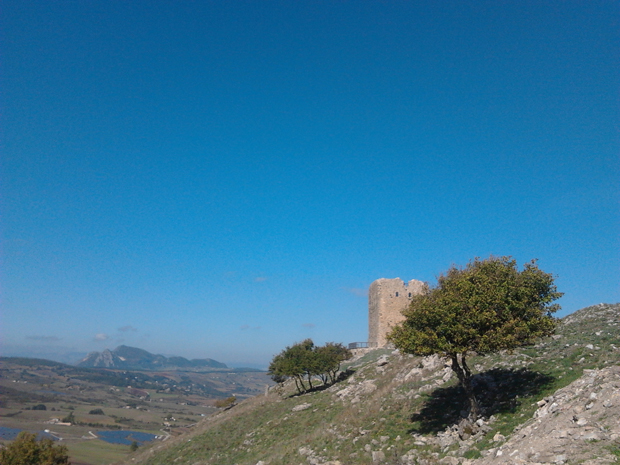 salutiamo-la-Torre