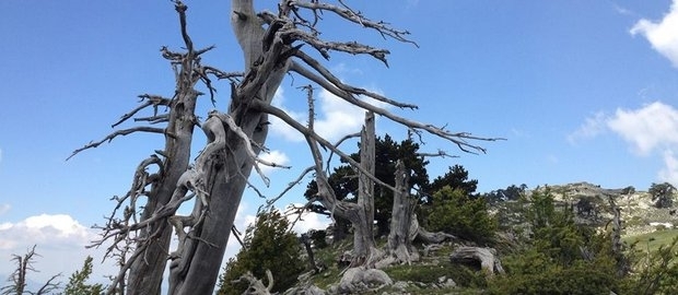 Escursioni di Luglio nel Parco del Pollino