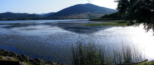 Oasi WWF Lago Pantano di Pignola