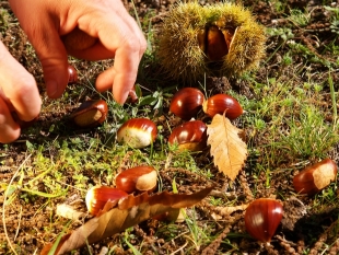 Autunno in Basilicata