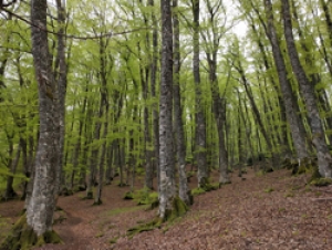 Pasquetta in Basilicata