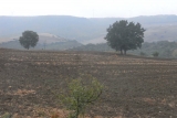 Matera. Escursione tra i borghi rurali della riforma agraria