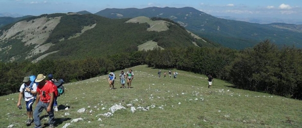 Pellegrinaggio a piedi alla Madonna di Viggiano 2014