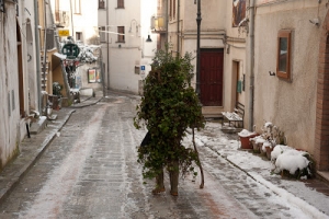 Carnevale di Satriano. Diventa uomo albero per un giorno