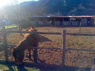 Agriturismo in Basilicata con maneggio