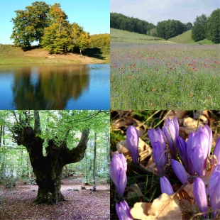 Escursione a Piano della Nevena e Bosco Grande