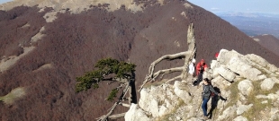 Escursione guidata sul Monte Pollino