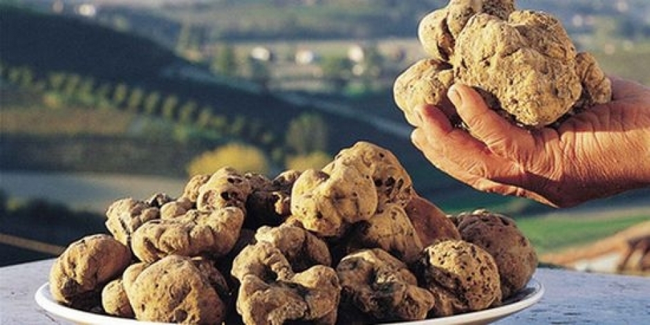 Sagra del tartufo a Marsicovetere