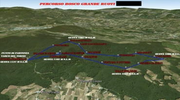 Ruoti: lungo il sentiero dei faggi