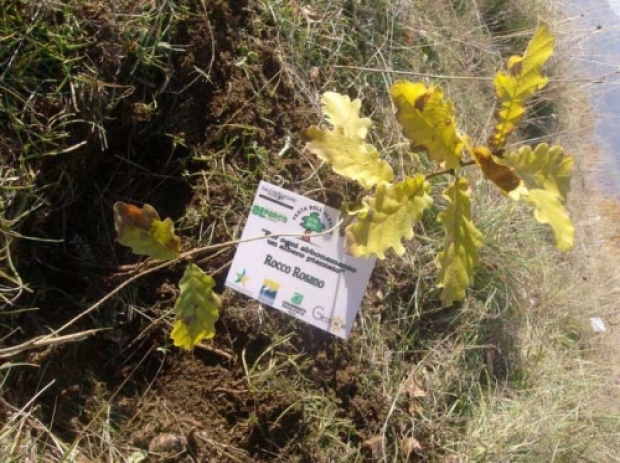 In Basilicata gli alberi hanno un nome ed un cognome