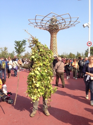 Rumit sotto l&#039;albero della vita all&#039;Expo