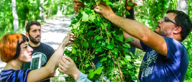 &quot;Quando noi ci mettemmo per un bosco&quot;