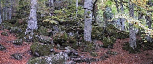 I colori autunnali del Parco Nazionale del Pollino