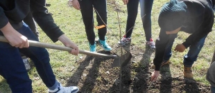 Giornata dell&#039;albero a Sasso di Castalda