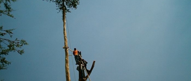 “Il Maggio” di Oliveto Lucano