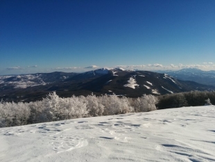 Parco Nazionale Appennino Lucano