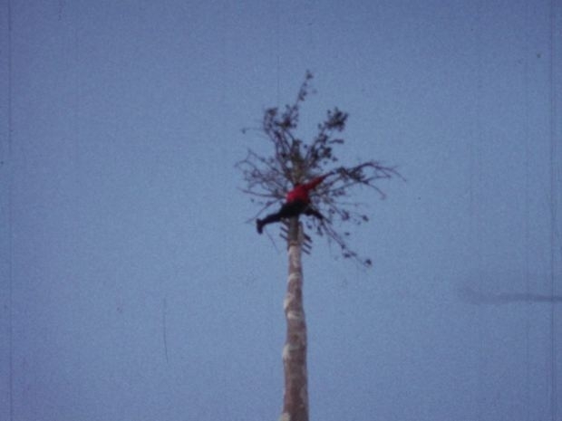 Uomini e alberi, documentario su Maggio di Accettura