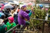 Diventa folletto per un giorno al Carnevale di Satriano