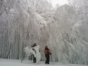 Weekend in rifugio con ciaspolate